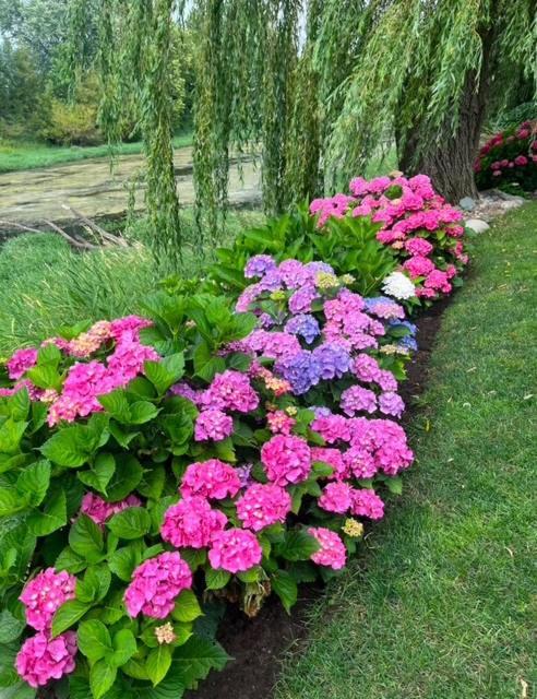 The Hazelhouse Bed & Breakfast Chilliwack Exterior photo